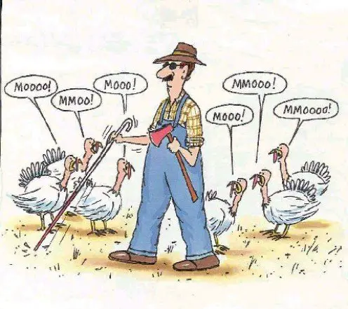 Funny Thanksgiving Quotes and Sayings